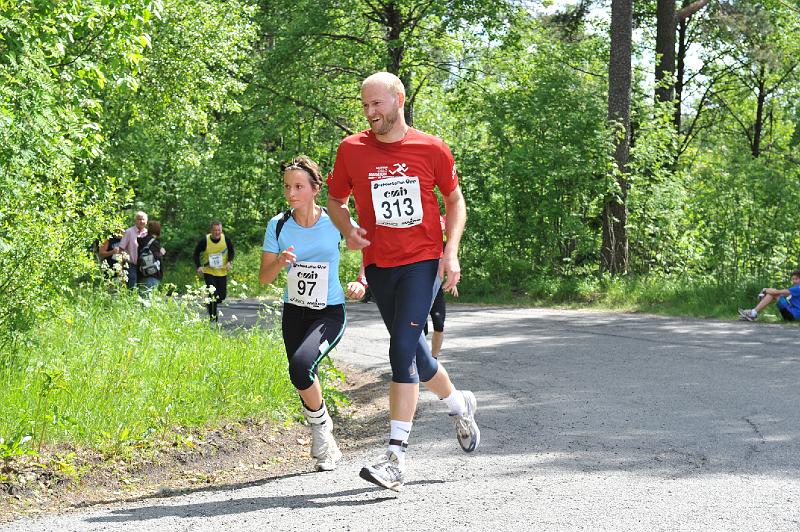 313.JPG